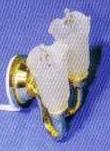 803004